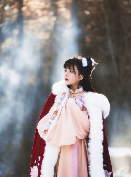 家有儿女第一部_免费高清日本成人在线